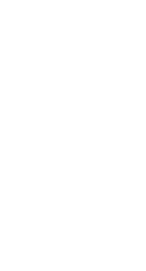 Logo 3S